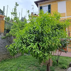 Affittacamere Antonella Maison d'hôtes Monterosso al Mare